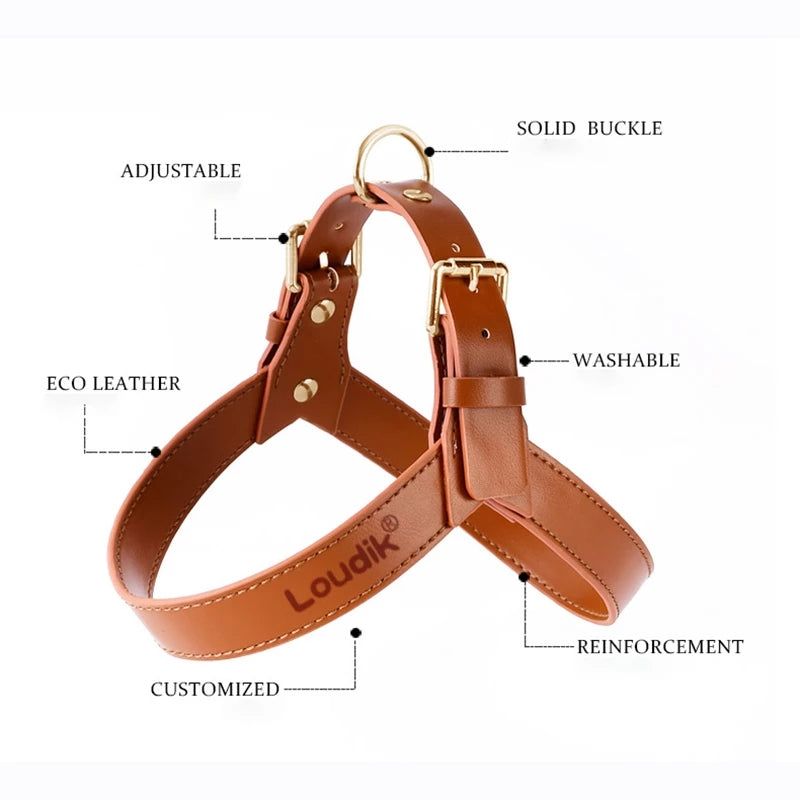 Dog Vest Type Chest Harness Leash