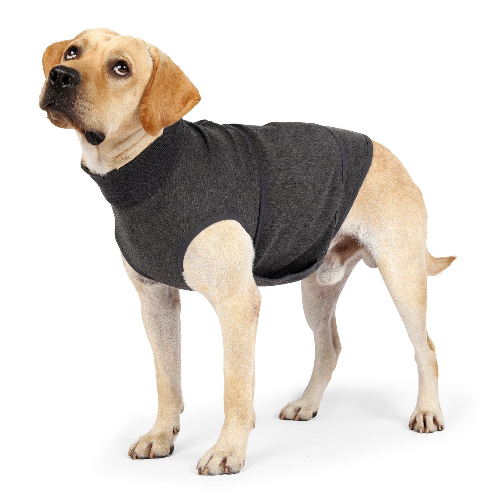 Pet Polyester Emotional Comfort Cotton Clothes