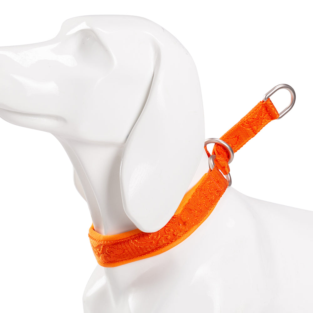 P Chain Walking Dog Neck Ring