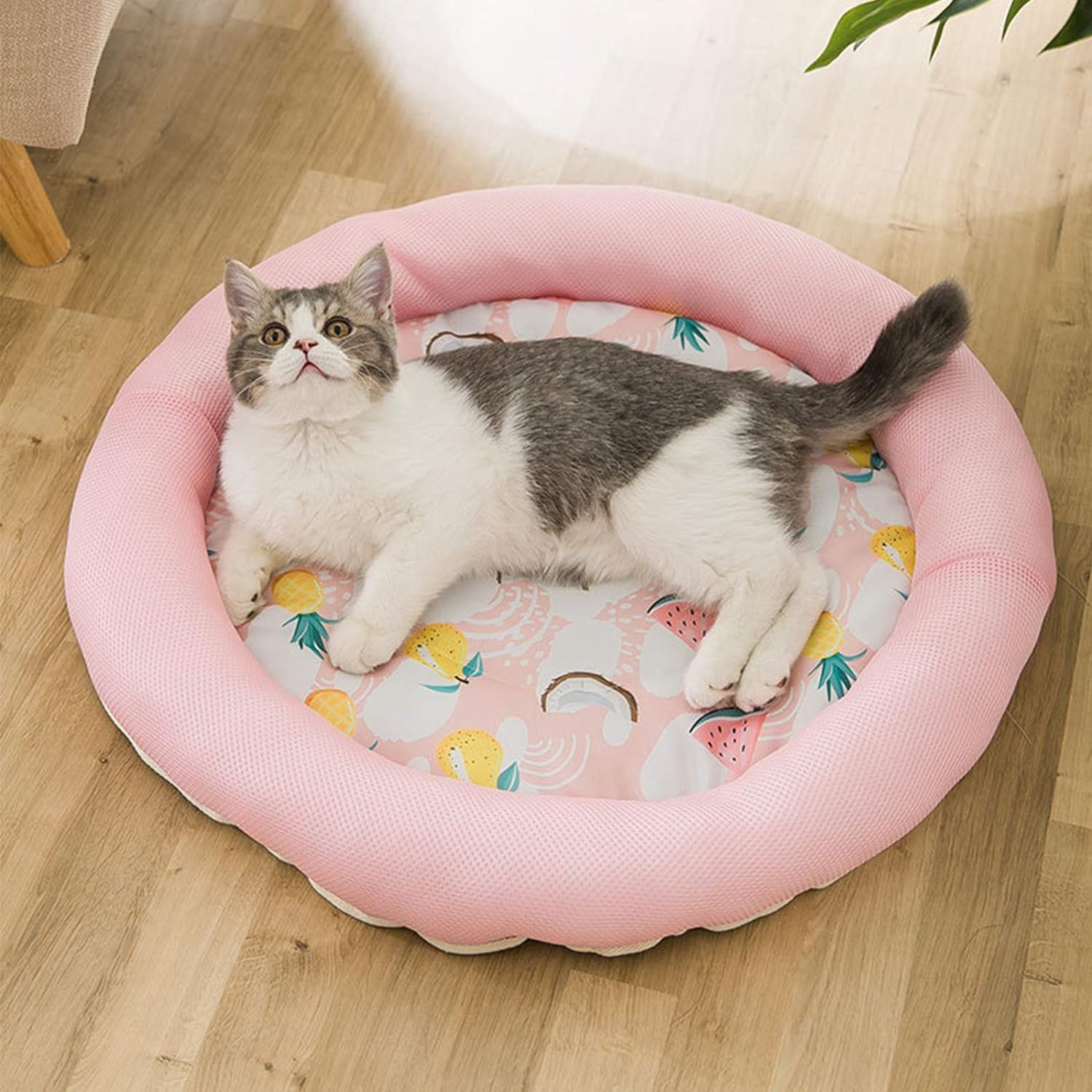 Cooling Cat Bed Soft Summer Ice Pad