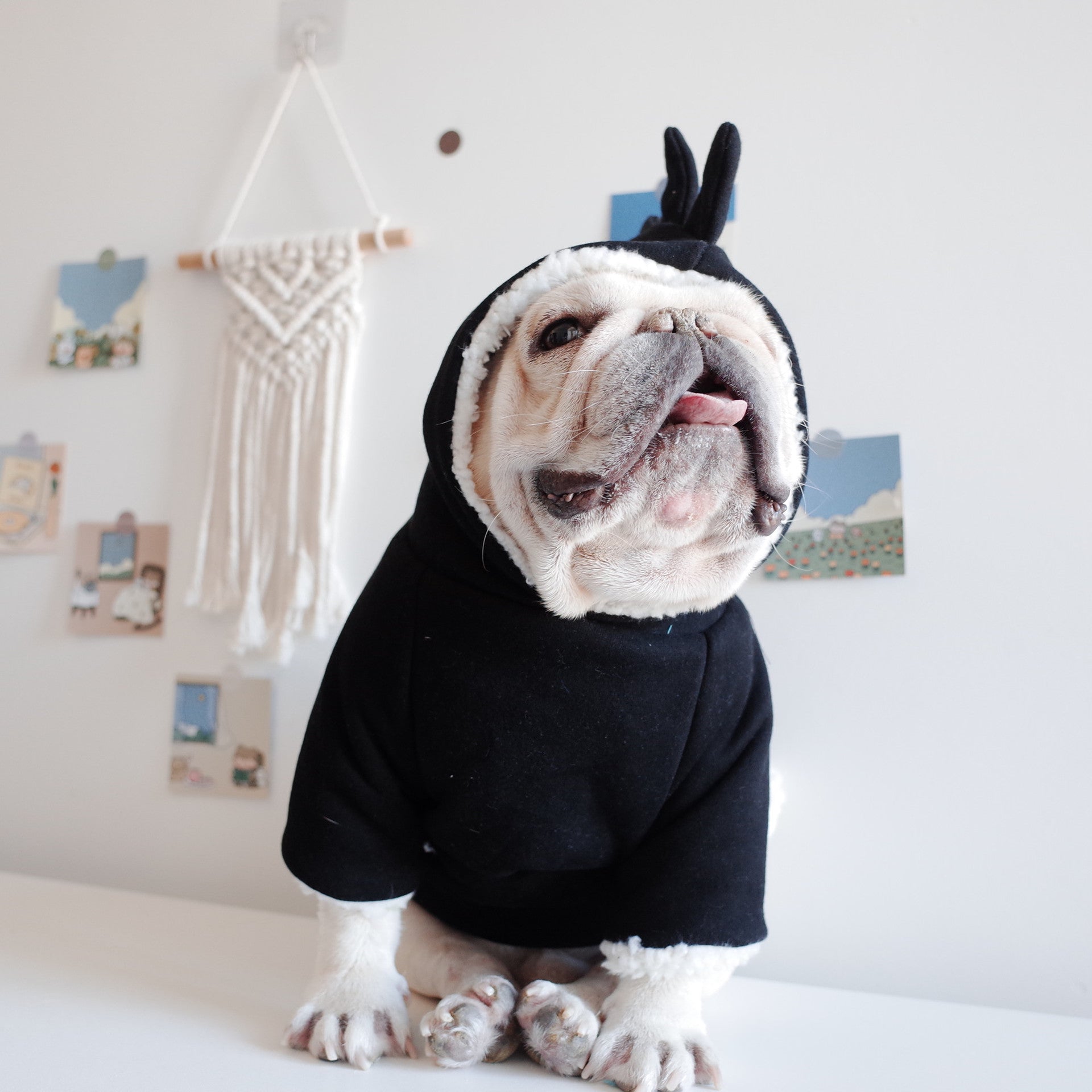 Lamb Fleece Winter Warm Dinosaur Hooded Sweater