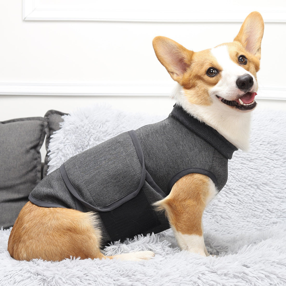 Pet Polyester Emotional Comfort Cotton Clothes