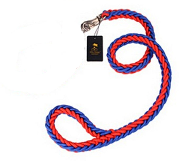 Rtriever Alaska dog walking dog leash