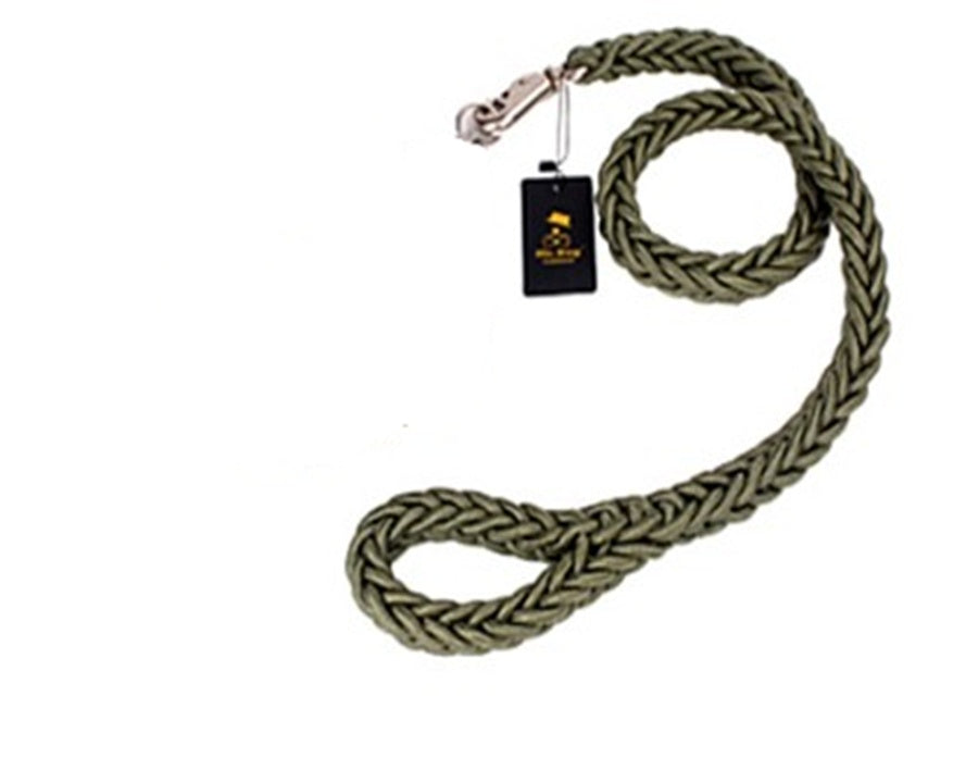Rtriever Alaska dog walking dog leash