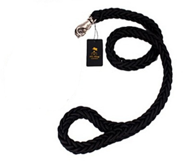 Rtriever Alaska dog walking dog leash