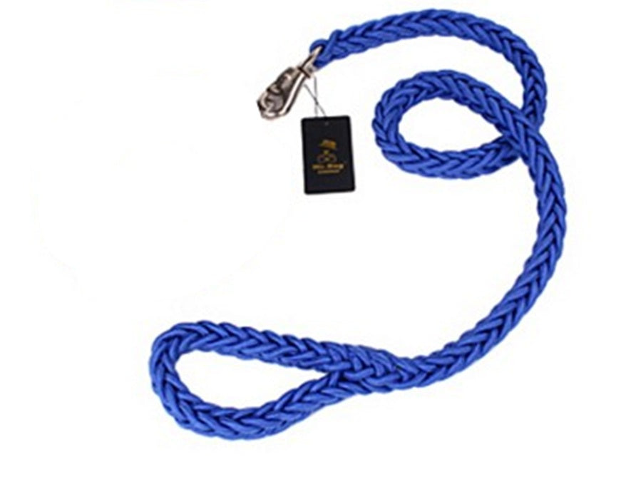 Rtriever Alaska dog walking dog leash