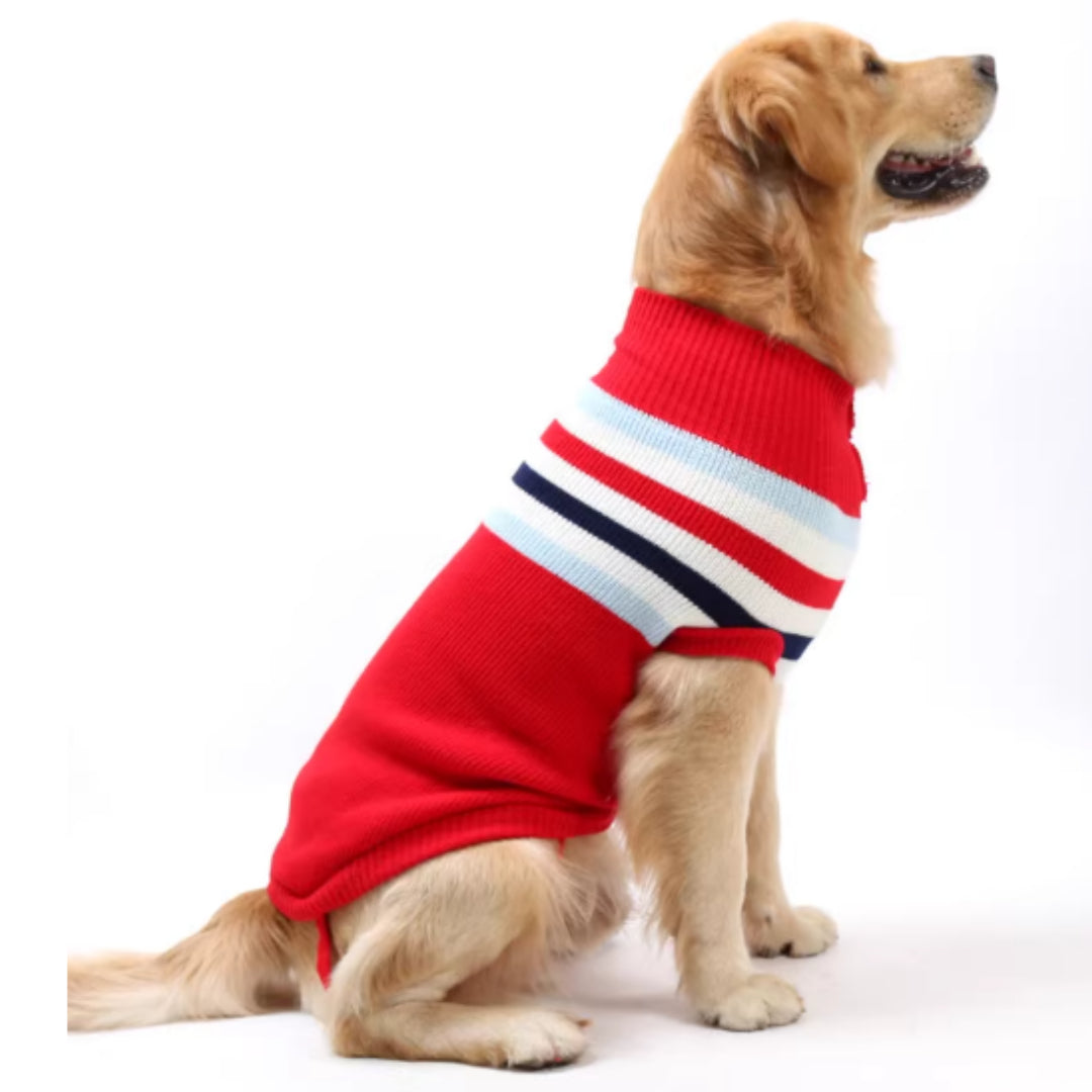 Pet Golden Sweater Retriever