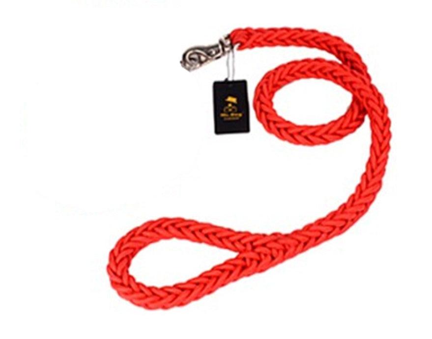 Rtriever Alaska dog walking dog leash