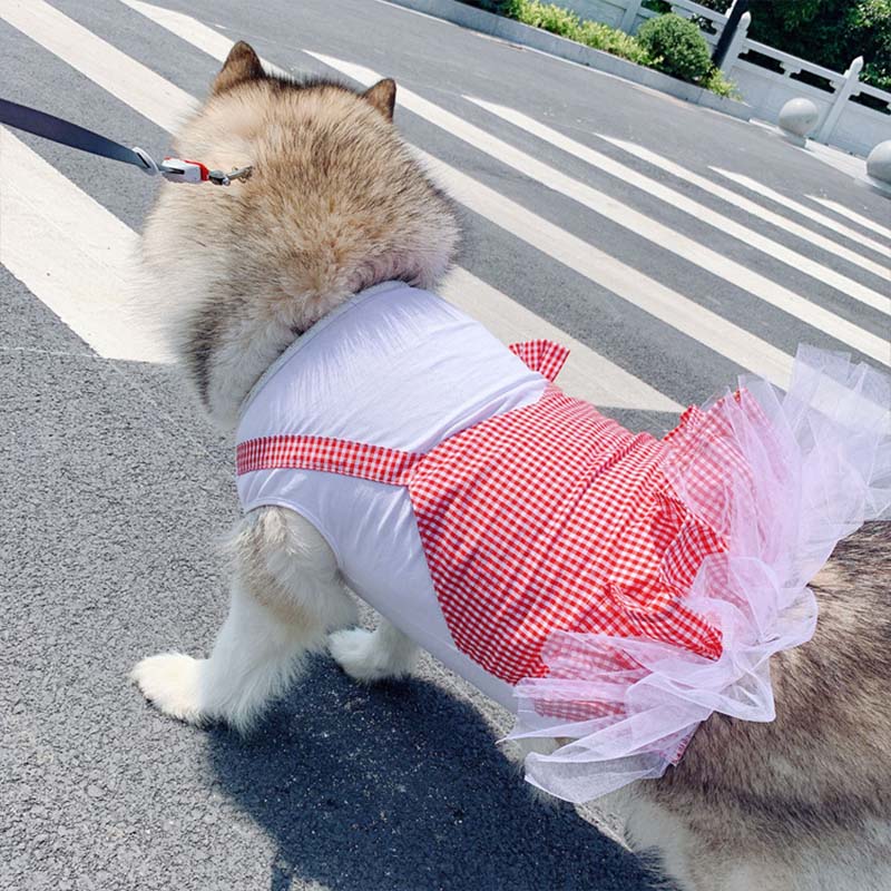 Princess Dog Costume Labrador Clothes