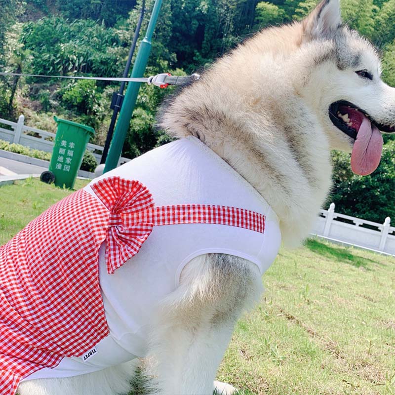 Princess Dog Costume Labrador Clothes