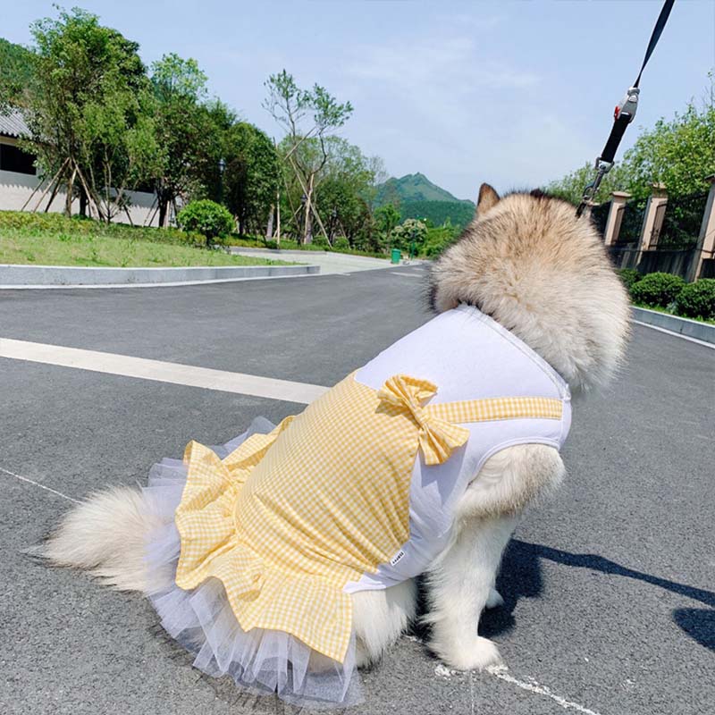 Princess Dog Costume Labrador Clothes