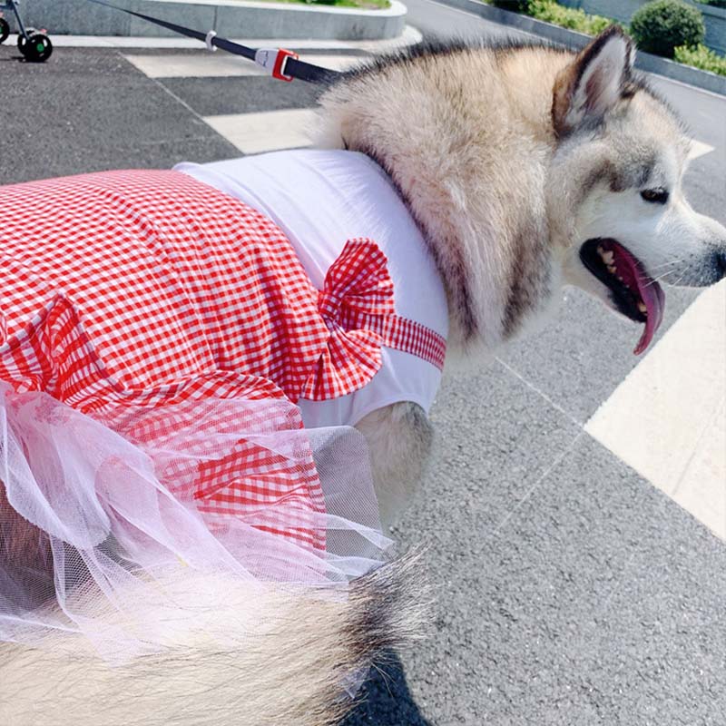 Princess Dog Costume Labrador Clothes