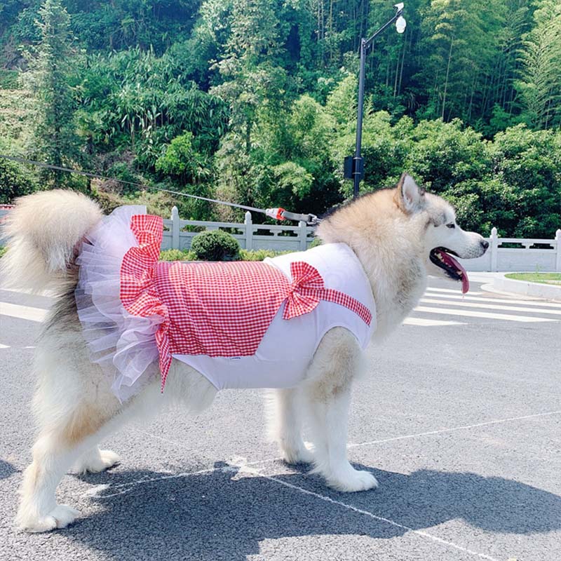 Princess Dog Costume Labrador Clothes