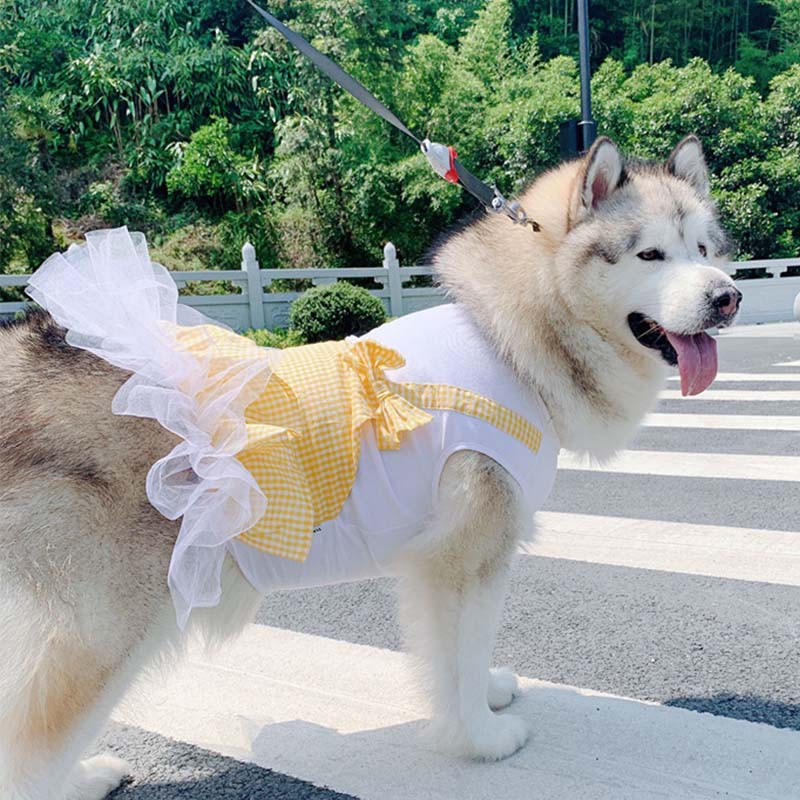 Princess Dog Costume Labrador Clothes