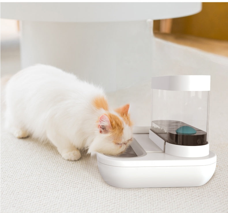 Pet Cat Bowl Dog for Cats Feeder Bowls Kitten