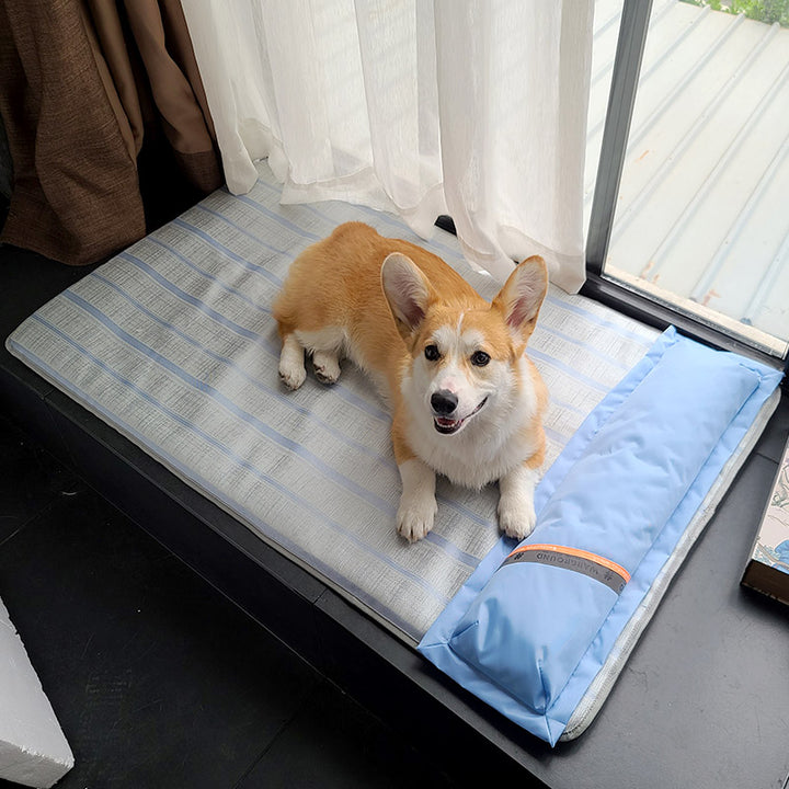 Dog Mat Sleeping With Pet Mat