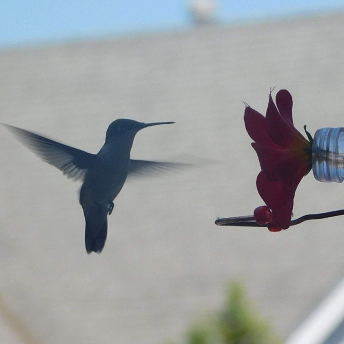 Flower Design Hummingbird Bird Feeder Tube Decorative Dispenser Tool Water Hanging Bird Window Outdoor Bird Feeding Tube