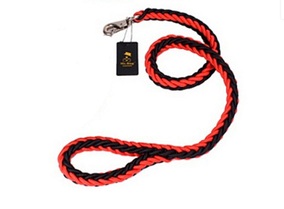 Rtriever Alaska dog walking dog leash
