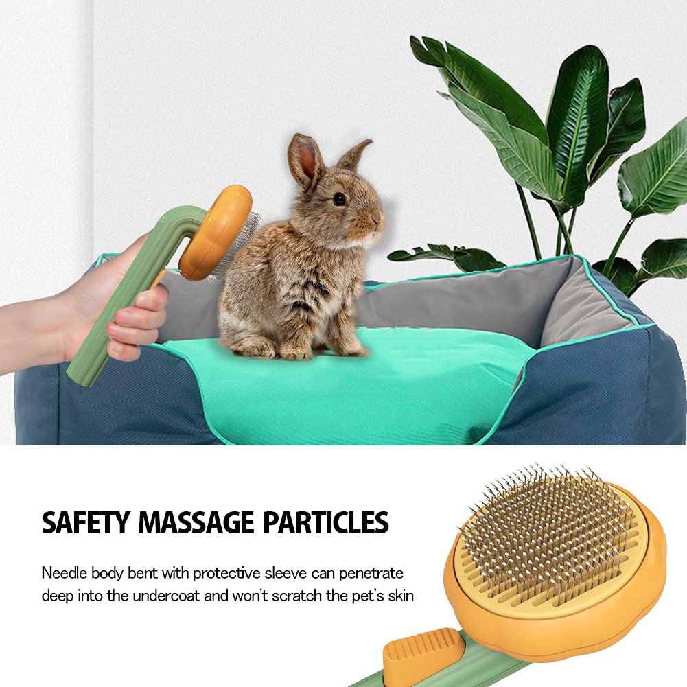 Pet Pumpkin Slicker Brush