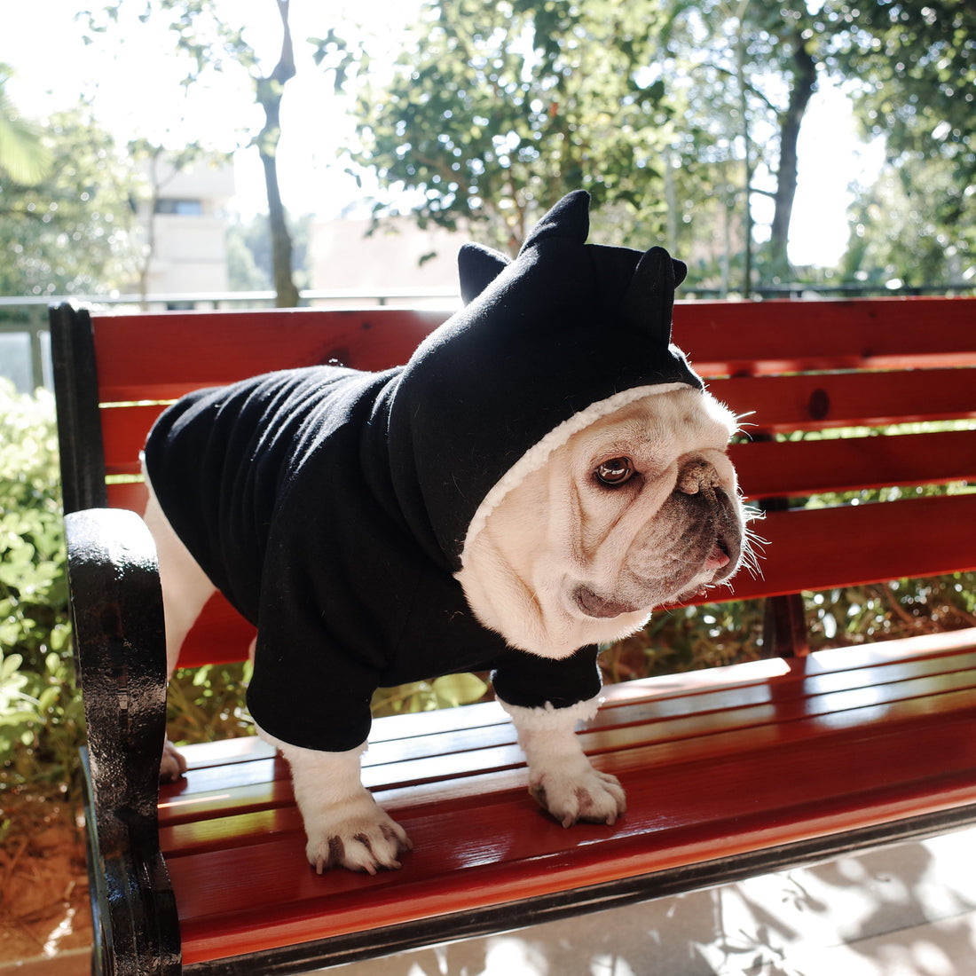 Lamb Fleece Winter Warm Dinosaur Hooded Sweater