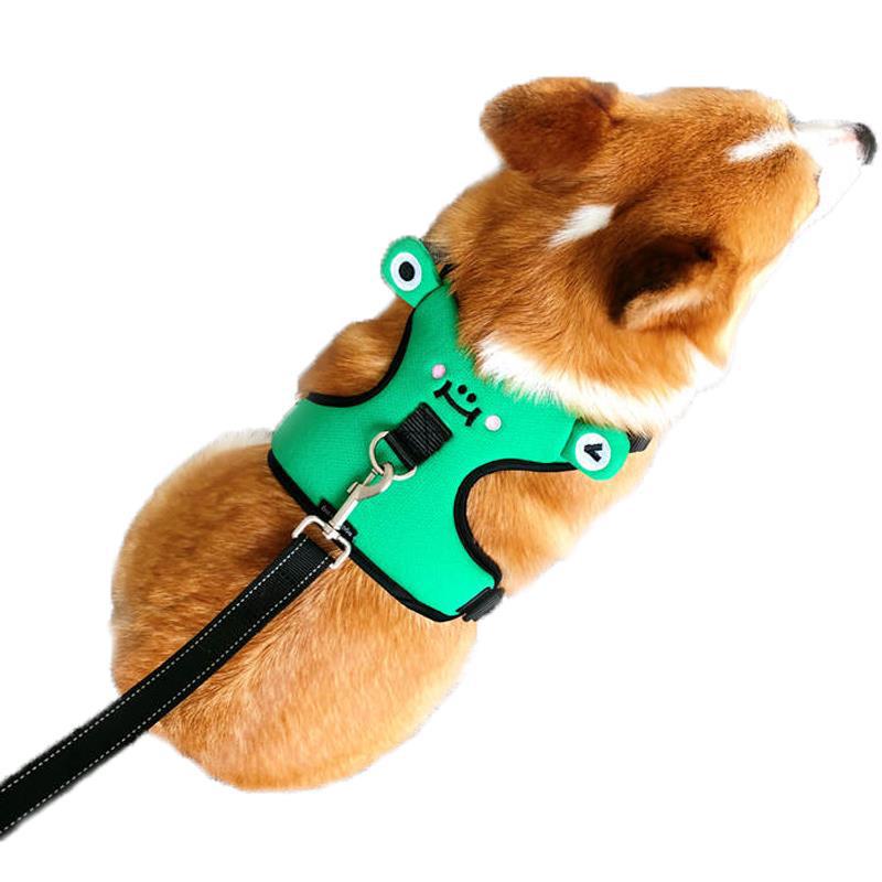 Dog''s chest and back with traction rope