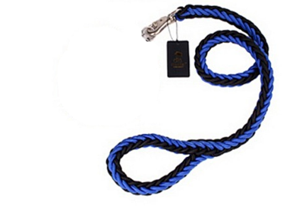 Rtriever Alaska dog walking dog leash