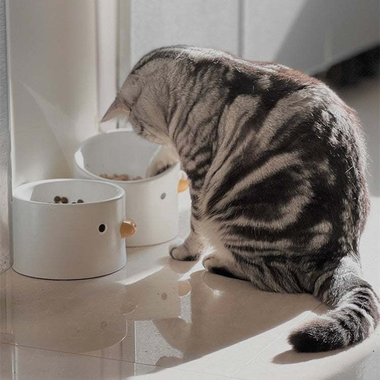 Ceramic Slanted Tall Pet Water Bowl