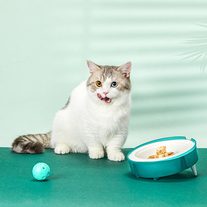 Cat Disposable Food Bowlowl