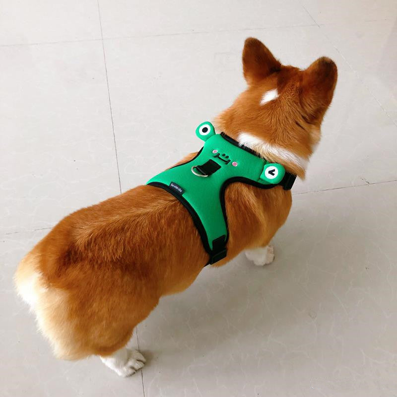 Dog''s chest and back with traction rope