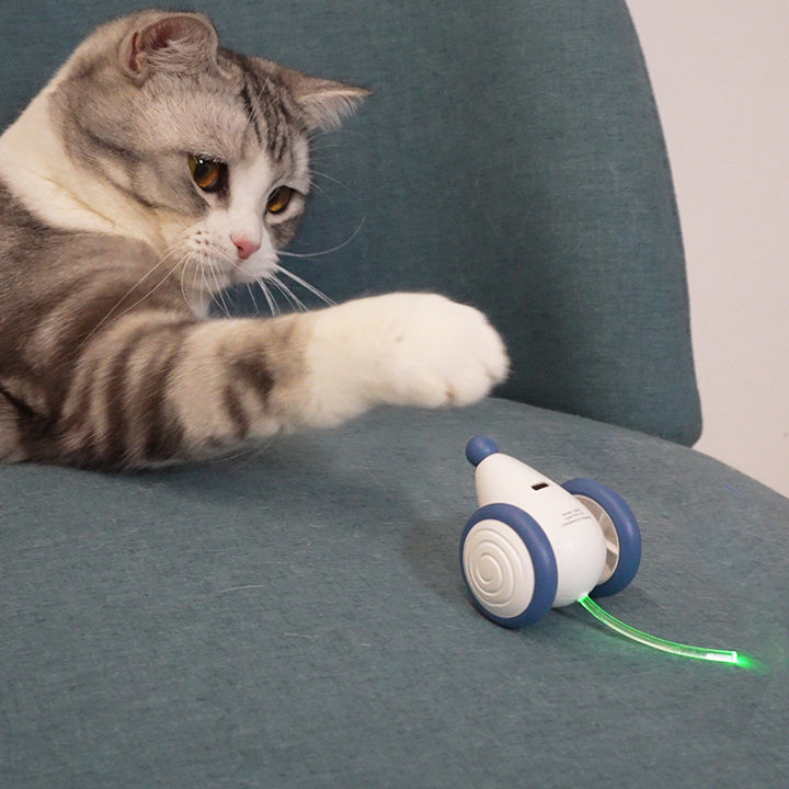 Cat Electric Mouse Cat Toy Boredom