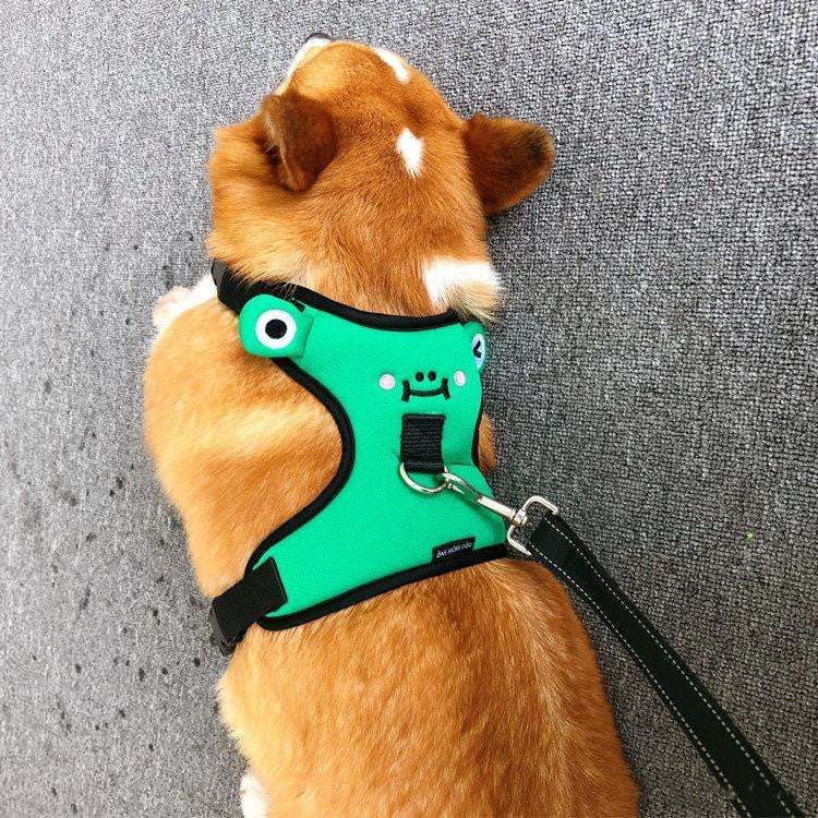 Dog''s chest and back with traction rope