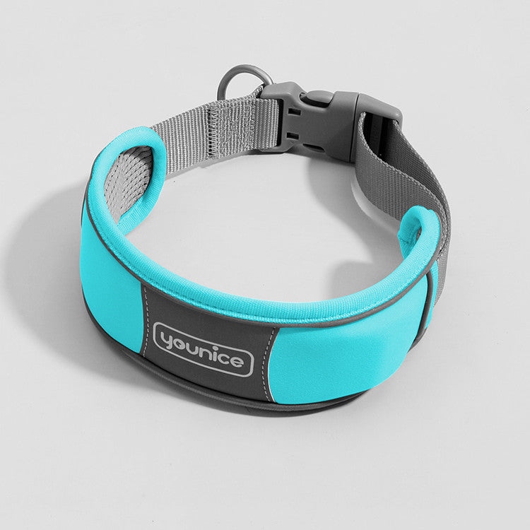 Cute Dog Collar Leash Explosion-proof