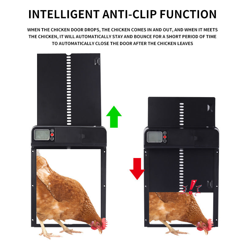 Automatic Chicken Coop Display Timing Door