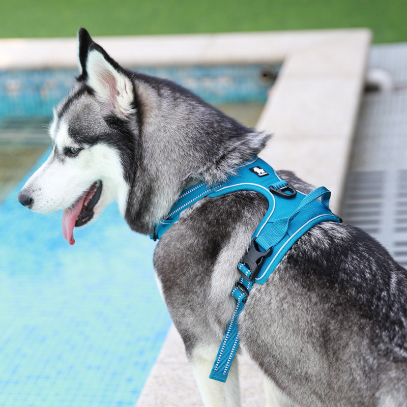 Explosion-proof Vest Dog Hand Holding Rope