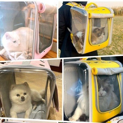 Pet portable backpack