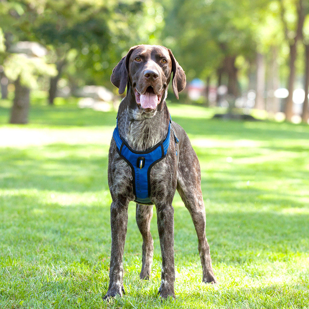 Reflective Dog Rope Vest Type