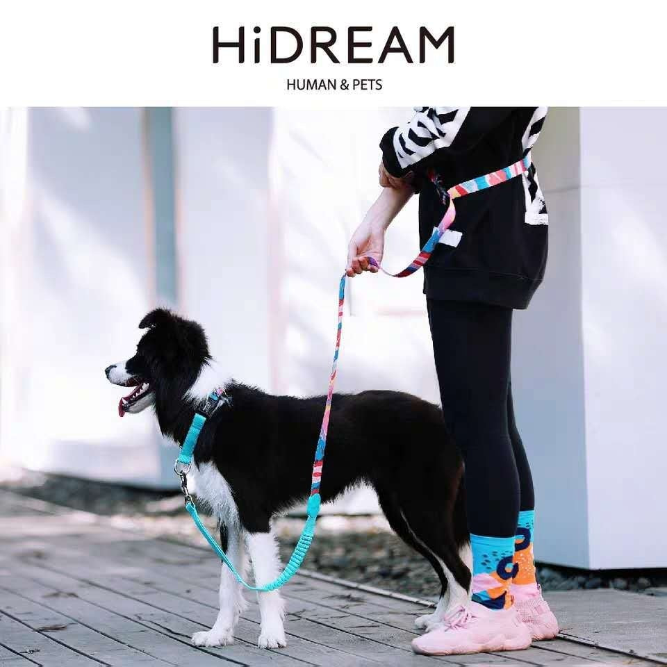 Half P Explosion-proof Collar Pet Traction