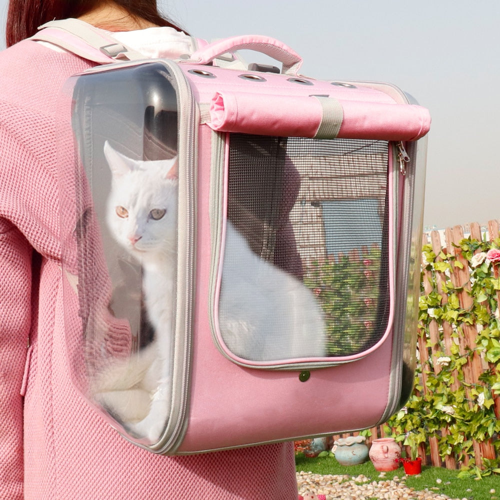 Pet portable backpack