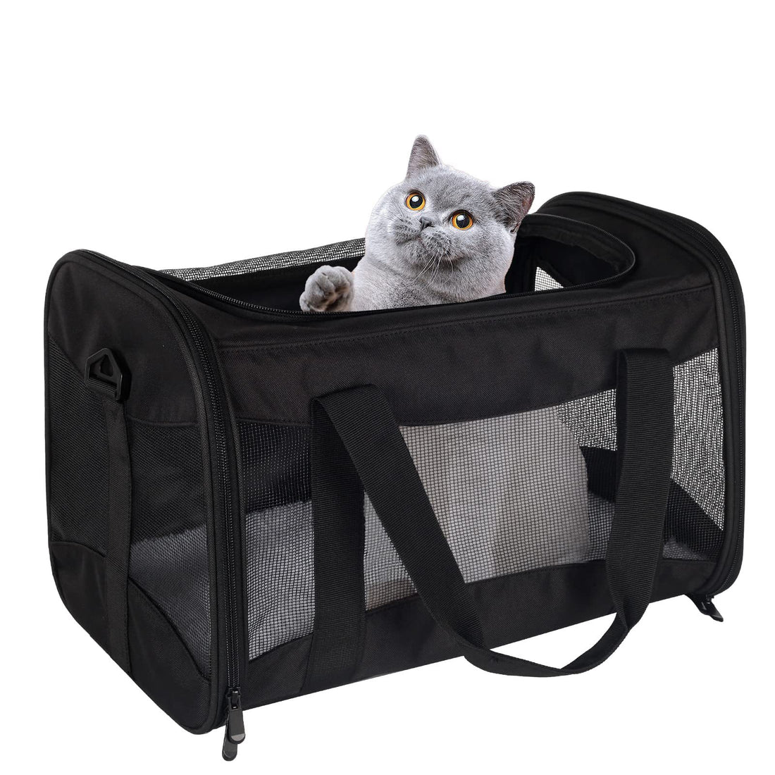 Portable Breathable Foldable Pet Bag
