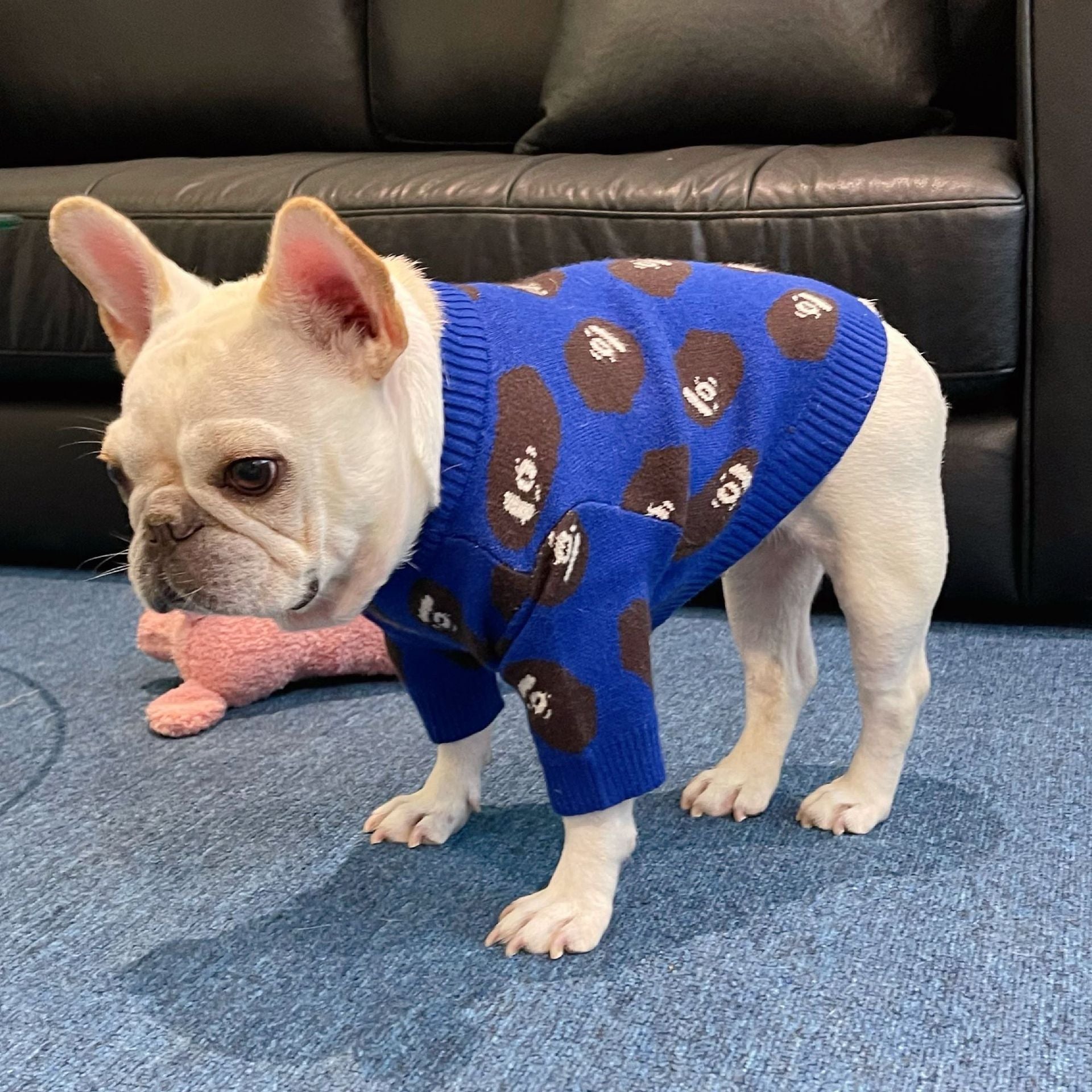 Pet Trendy Brand Popular Clothes