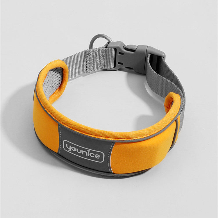 Cute Dog Collar Leash Explosion-proof