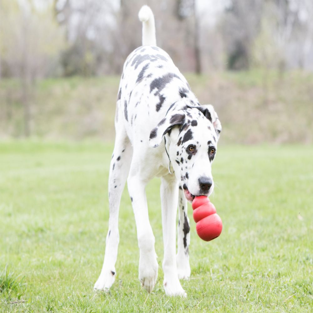 Pet Food Leakage Rubber Dog Toy