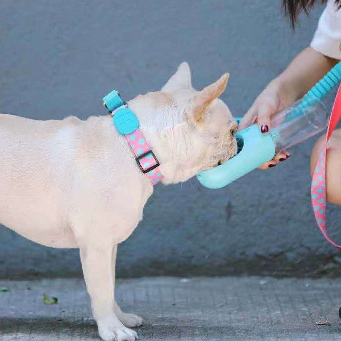 Half P Explosion-proof Collar Pet Traction