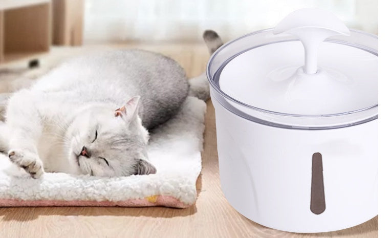 Pet Automatic Circulating Filter Water Dispenser
