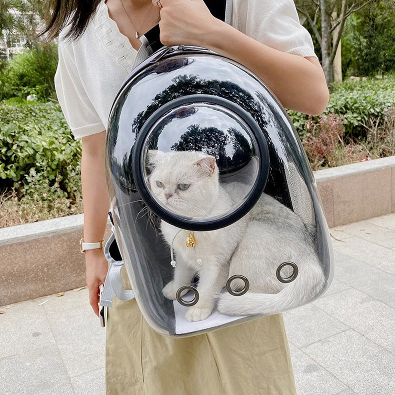 Pet Transparent Skylight Large Capacity Backpack