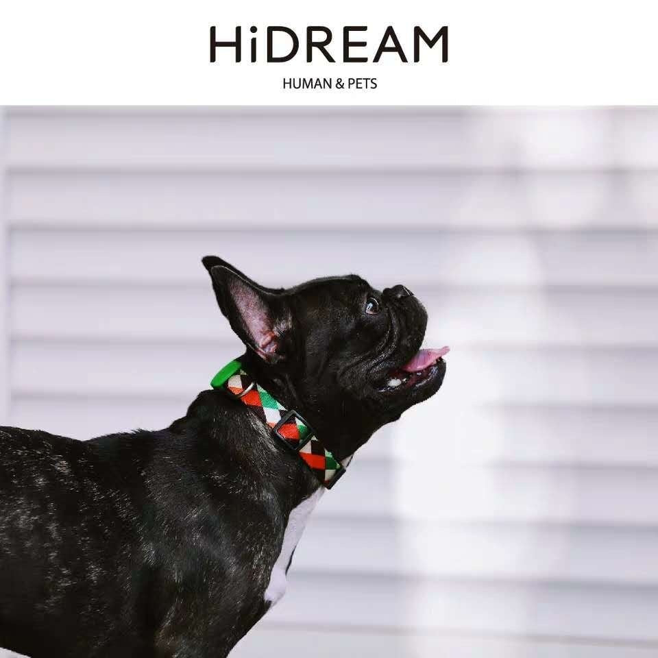 Half P Explosion-proof Collar Pet Traction