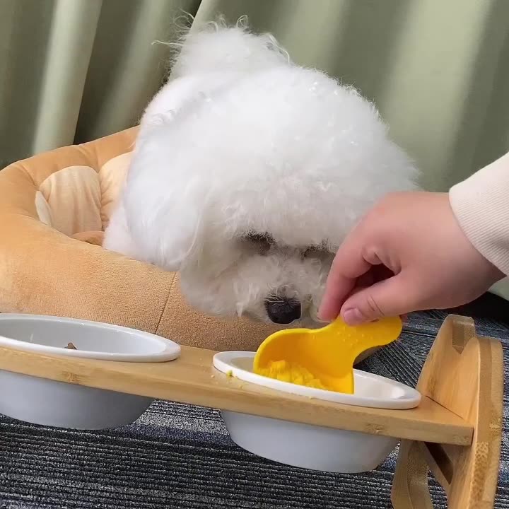 Pet Bowl Ceramic Double Bowl