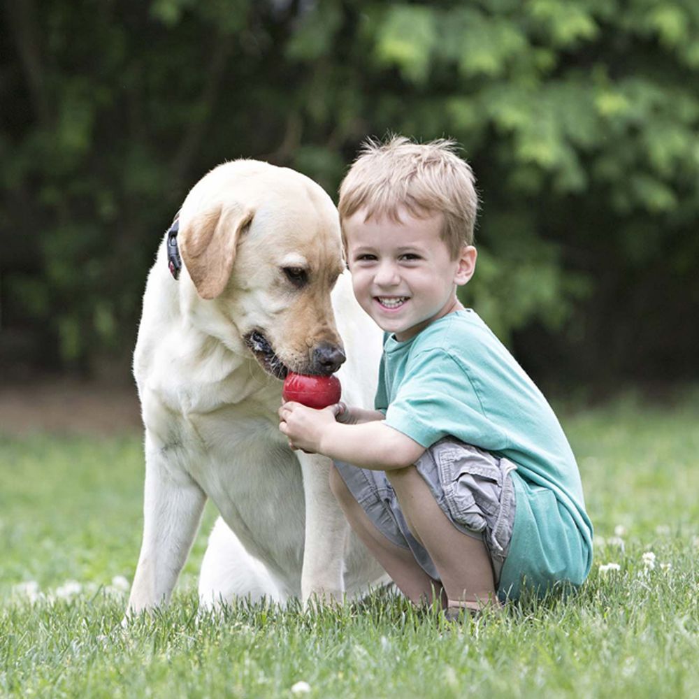 Pet Food Leakage Rubber Dog Toy