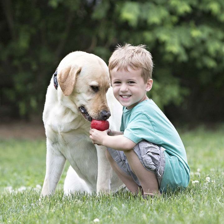 Pet Food Leakage Rubber Dog Toy