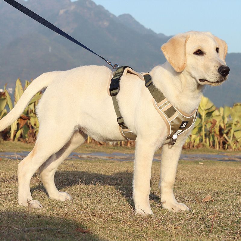 Explosion-proof Chest Strap Large Dog Vest